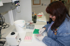 Lab Technician